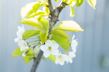 Similar image 11432591