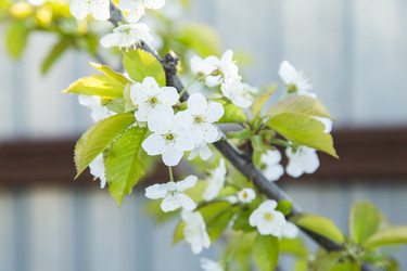 Similar image 11432592