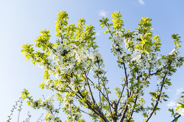 Similar image 11432569