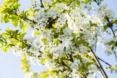 Similar image 11432570