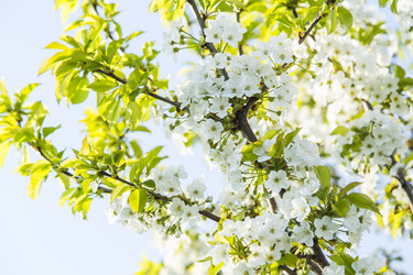 Similar image 11432575