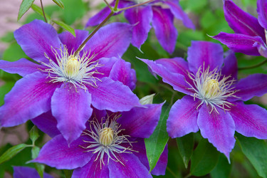 Similar image 11432395