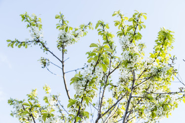 Similar image 11432579