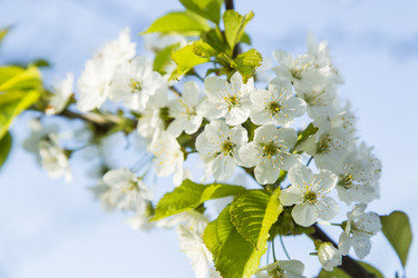 Similar image 11432580