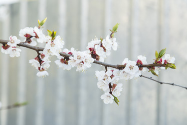 Similar image 11432586