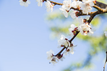 Similar image 11432587