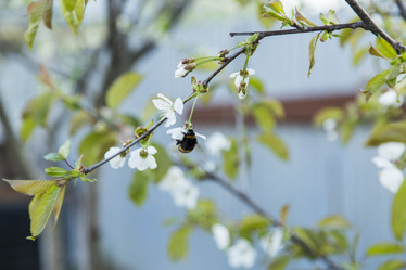 Similar image 11432590