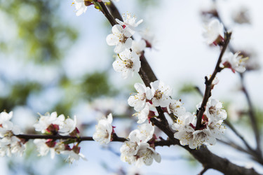 Similar image 11432599