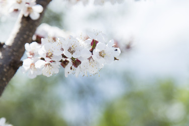 Similar image 11432603