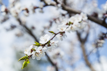 Similar image 11432604