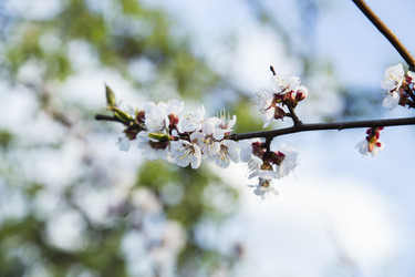 Similar image 11432606