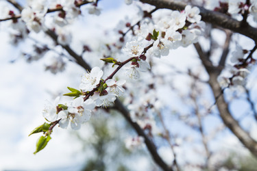 Similar image 11432607