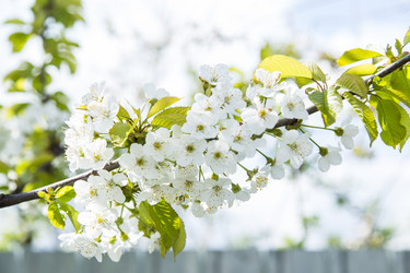 Similar image 11432608