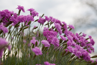 Similar image 11432396