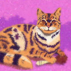 Similar image 11430743