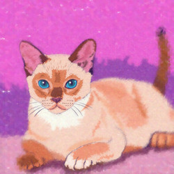 Similar image 11430752