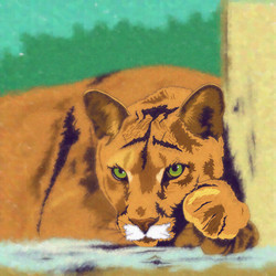 Similar image 11430773