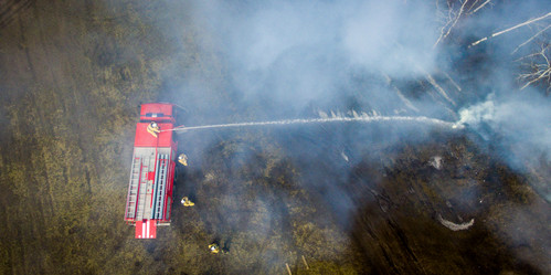 Similar image 11432384