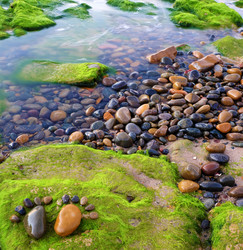 Similar image 11435933