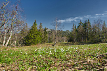 Similar image 11441122