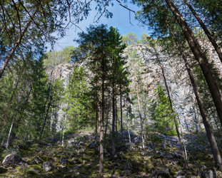 Similar image 11441142