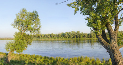 Similar image 11441146