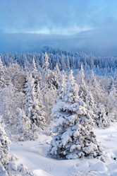 Similar image 11441148