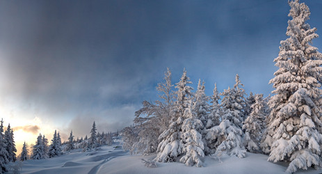 Similar image 11441151