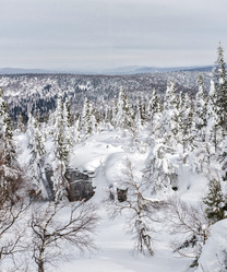 Similar image 11441152