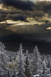 Similar image 11435114