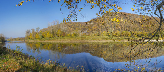 Similar image 11435379