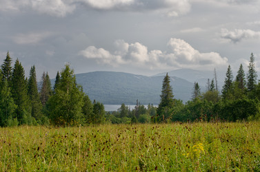 Similar image 11435116