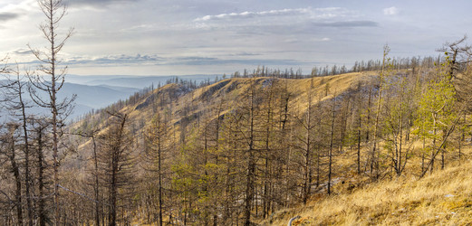 Similar image 11435381