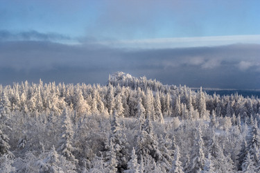 Similar image 11441165