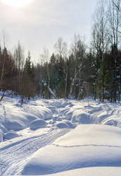 Similar image 11441182