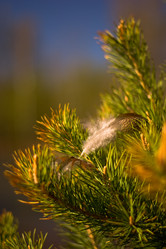 Similar image 11441202