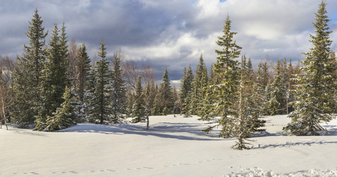 Similar image 11442839