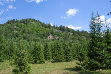 Similar image 11441206