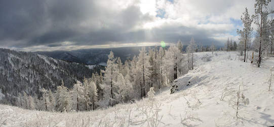 Similar image 11441208