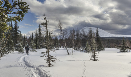 Similar image 11441209