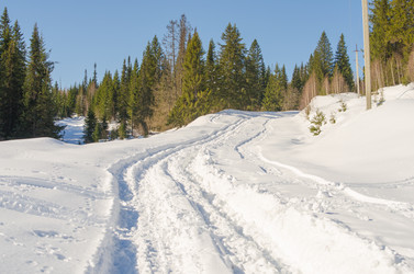 Similar image 11435402