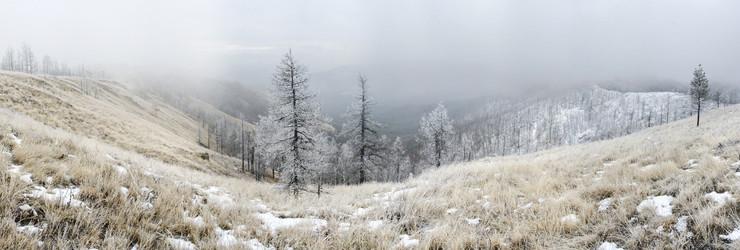 Similar image 11441226