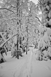 Similar image 11441227