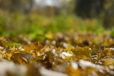 Similar image 11441228