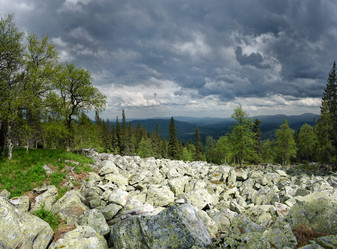 Similar image 11435145