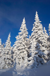 Similar image 11441123