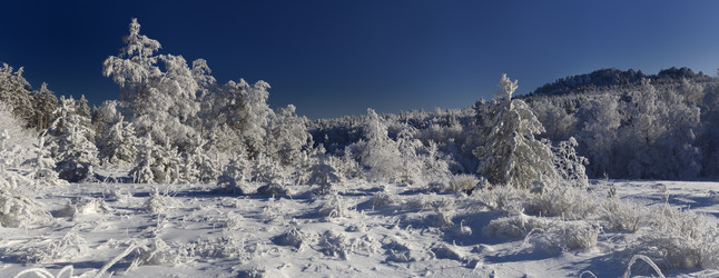 Similar image 11442819