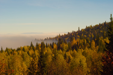 Similar image 11441124