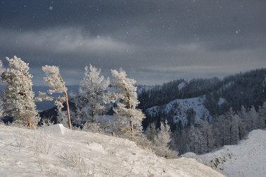 Similar image 11441154