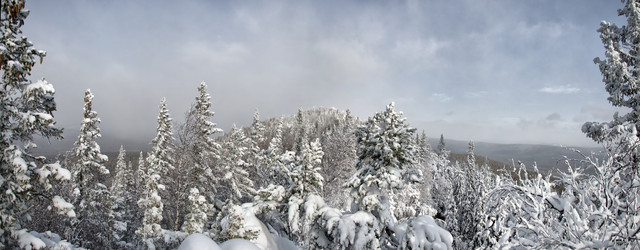 Similar image 11442841